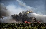 Zurla Marco-Efiap-Fire in Croatia